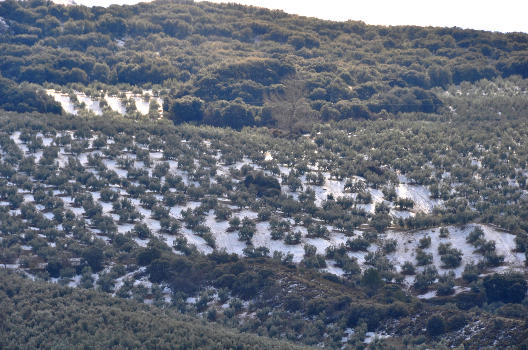 Moclín